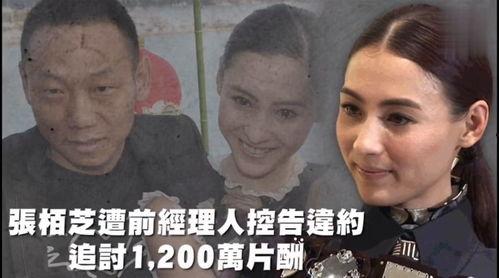 娱乐剪辑吃瓜,吃瓜群众深度解析娱乐剪辑幕后故事