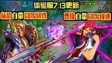 王者爆料抖音教官视频,王者爆料背后的实战技巧解析